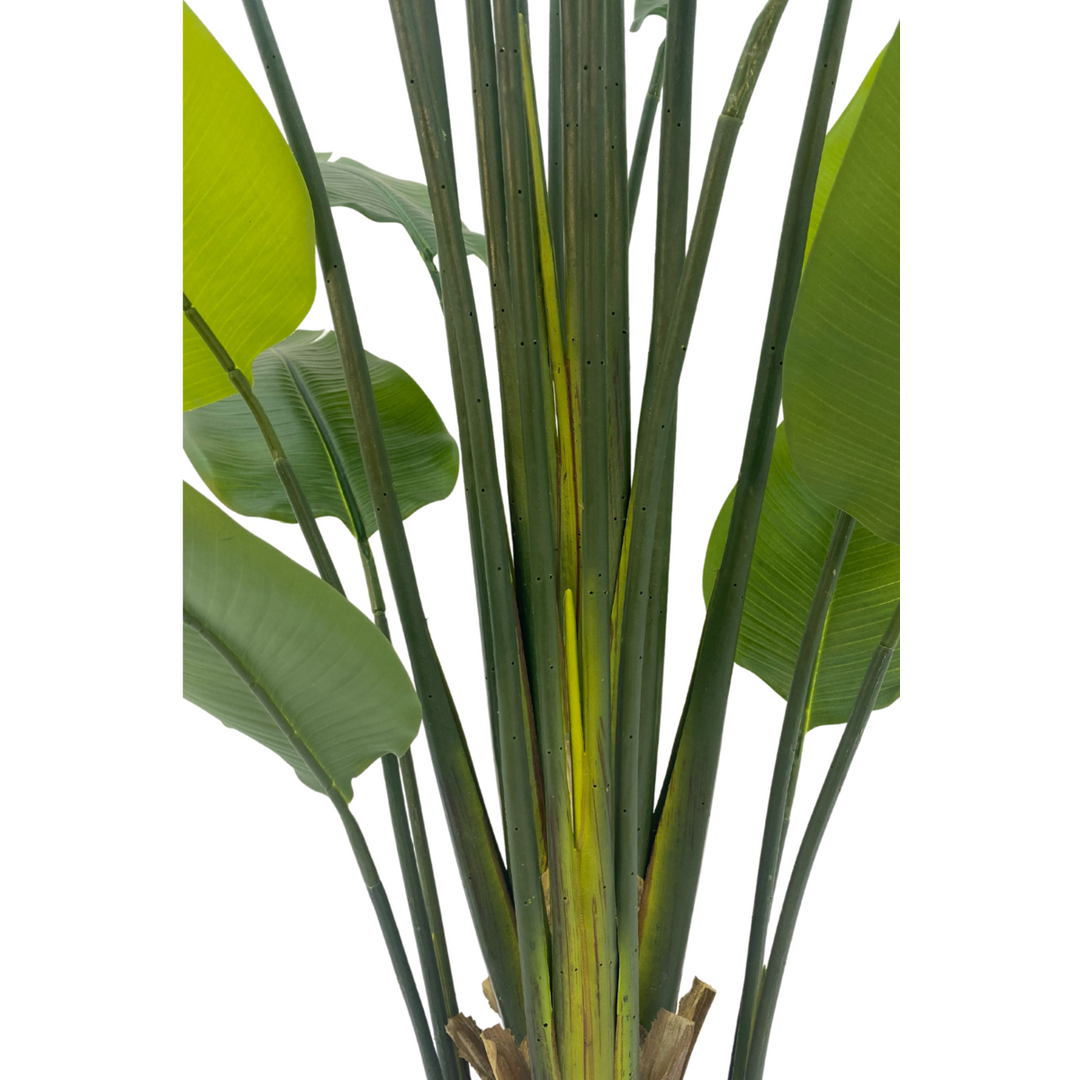 Strelitzia Kunstplant - 210cm hoog