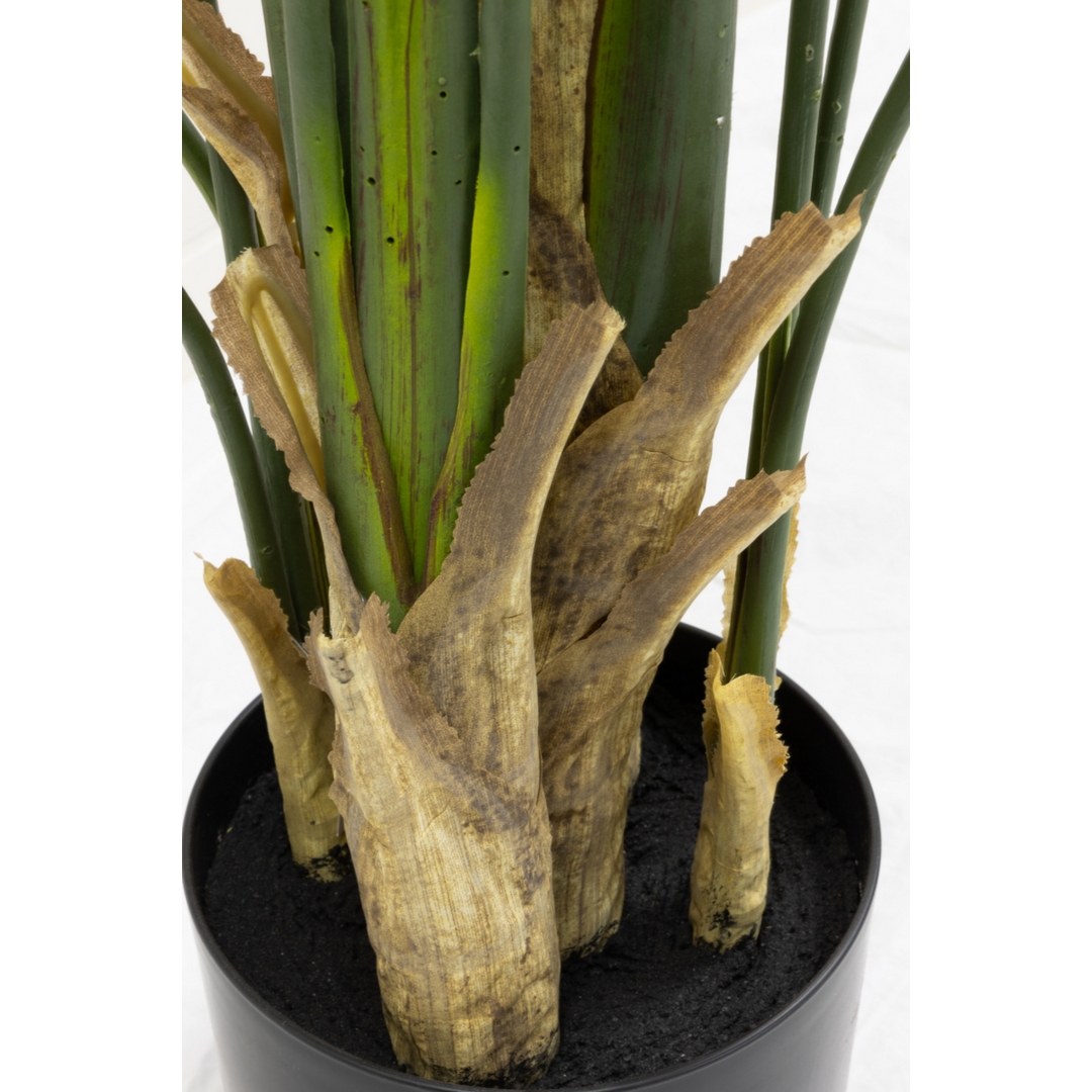 Strelitzia Kunstplant - 210cm hoog