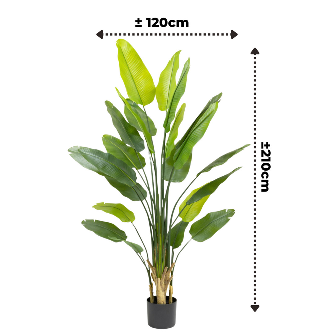 Strelitzia Kunstplant - 210cm hoog