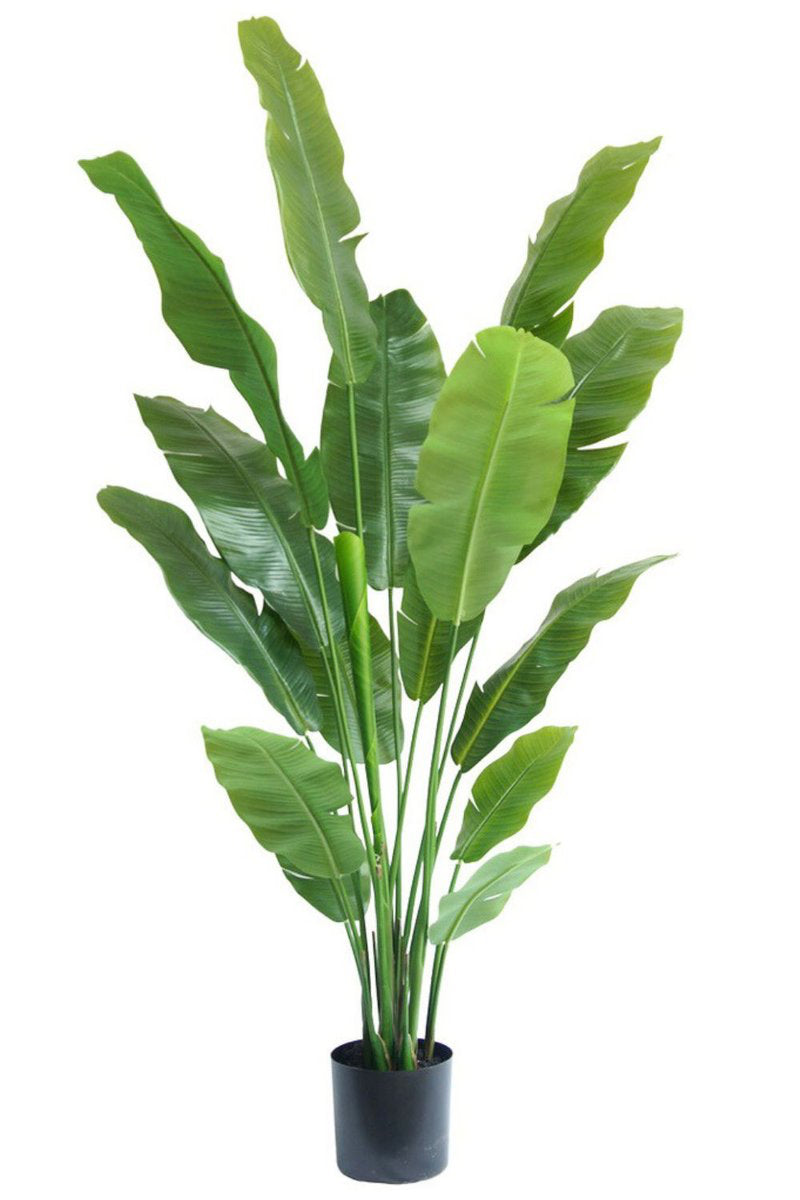 Strelitzia Kunstplant Deluxe - 180cm hoog