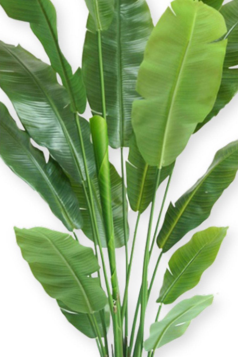 Strelitzia Kunstplant Deluxe - 180cm hoog