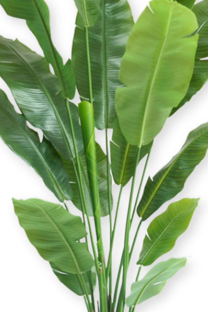 Strelitzia Kunstplant Deluxe - 180cm hoog