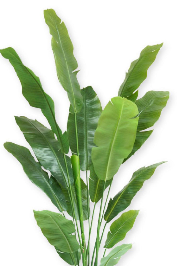 Strelitzia Kunstplant Deluxe - 180cm hoog