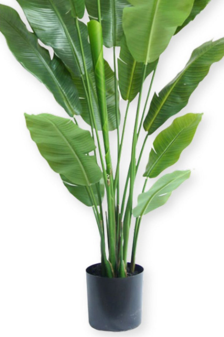 Strelitzia Kunstplant Deluxe - 180cm hoog
