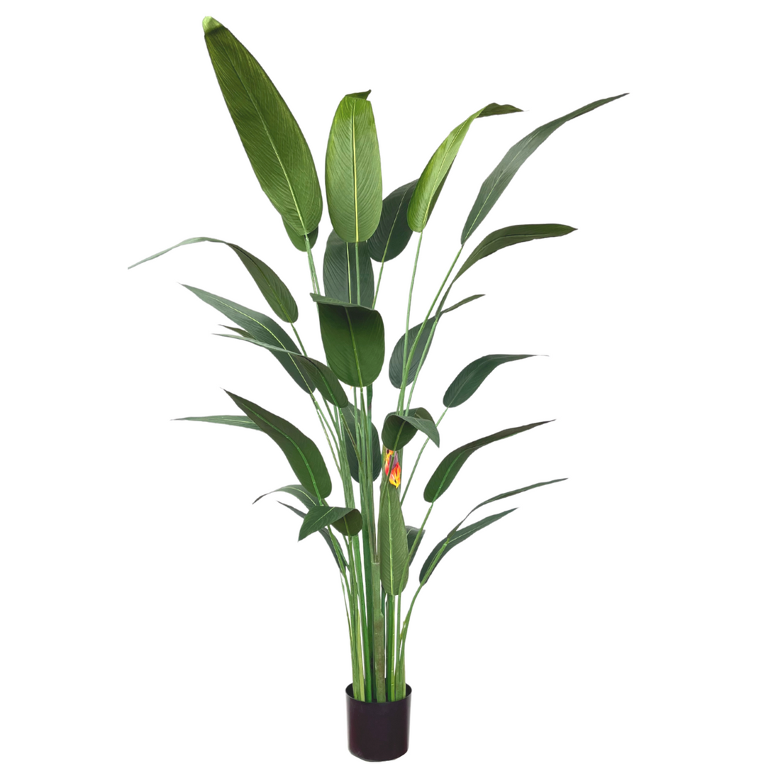 Strelitzia Kunstplant Met Bloem - 180cm hoog