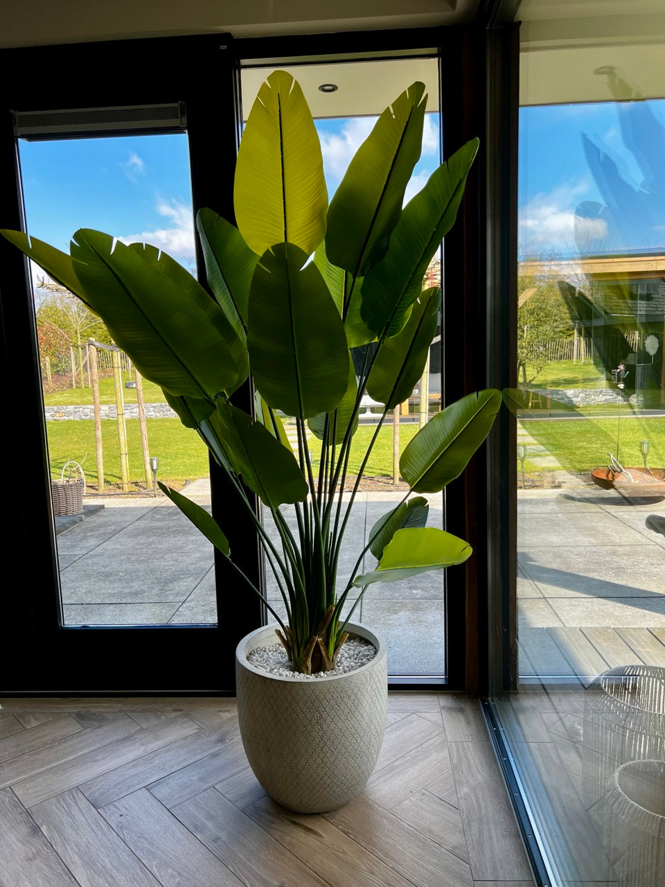 Strelitzia Artificial Plant - 180cm high