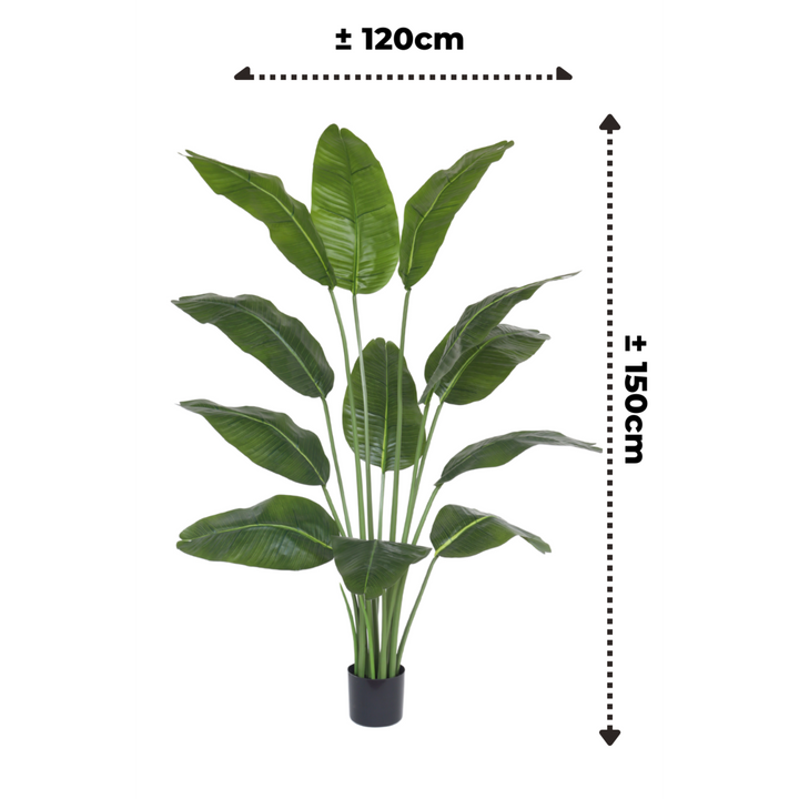 Strelizia kunstplant - 150cm hoog