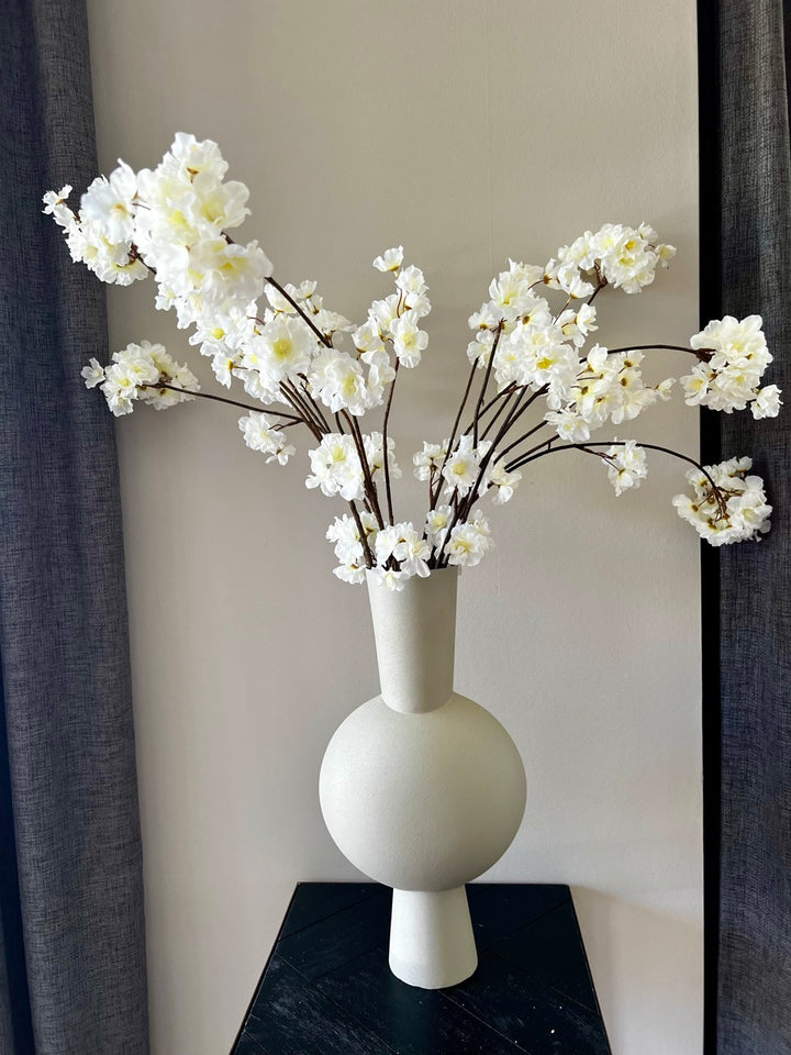 Tak Japanse sierkers (Prunus Malaga) - 84 cm hoog - Creme