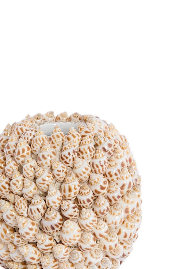 Vaas SHELL - Ø13x12 cm - crème+bruin