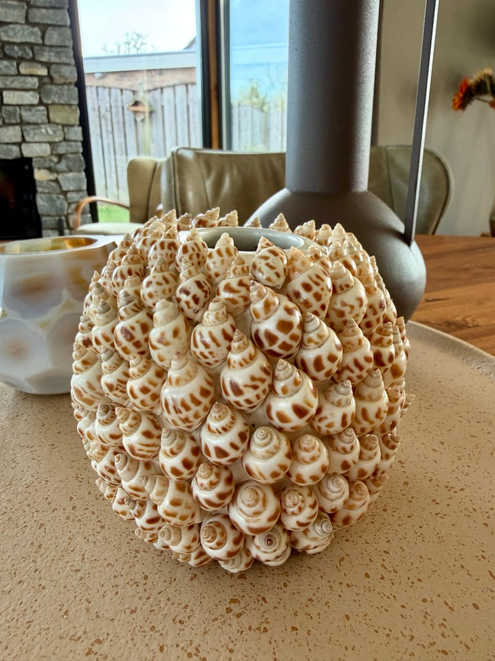 Vaas SHELL - Ø13x12 cm - crème+bruin
