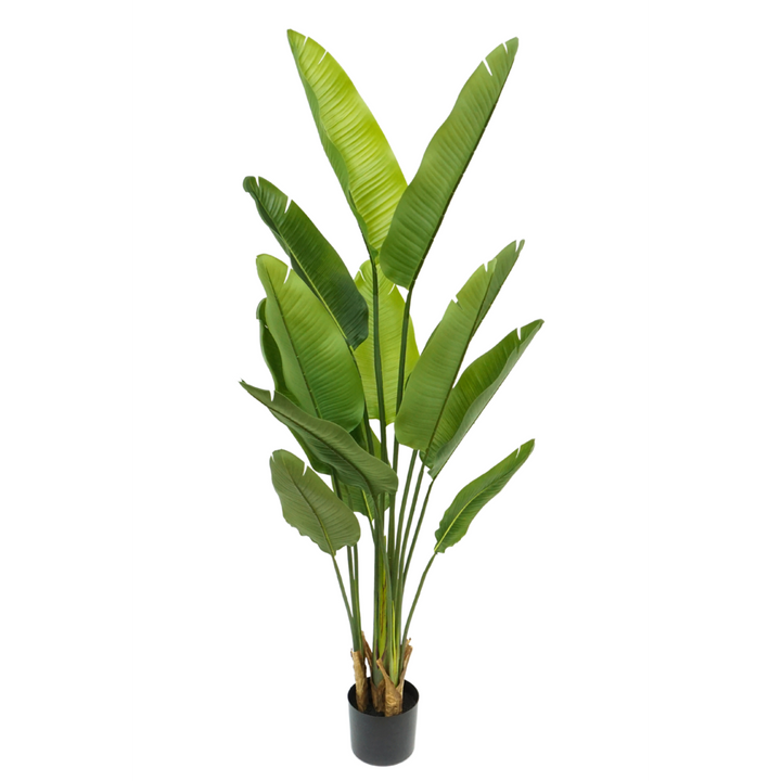 Strelitzia Kunstplant - 160cm hoog