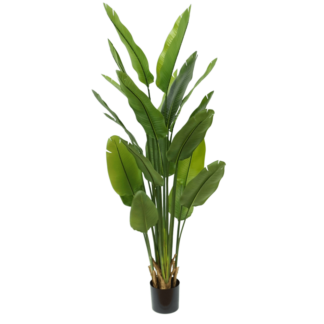 Strelitzia Kunstplant - 180cm hoog