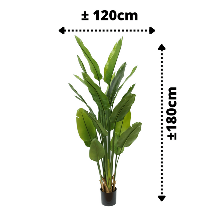 Strelitzia Kunstplant - 180cm hoog