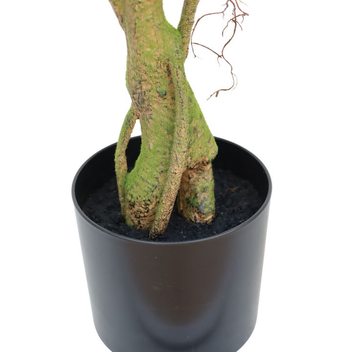 Ficus Kunstplant - 180cm hoog