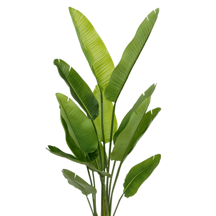 Strelitzia Kunstplant - 160cm hoog