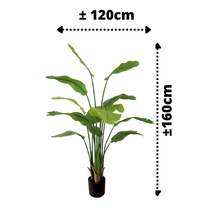 Strelitzia Kunstplant - 160cm hoog