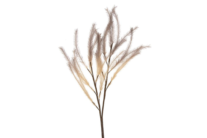 Droogbloemen Artifical Pluim - zand bruin - 108 cm hoog