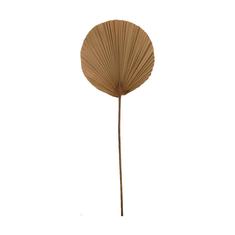 Palm leaf - natural - 60 cm high