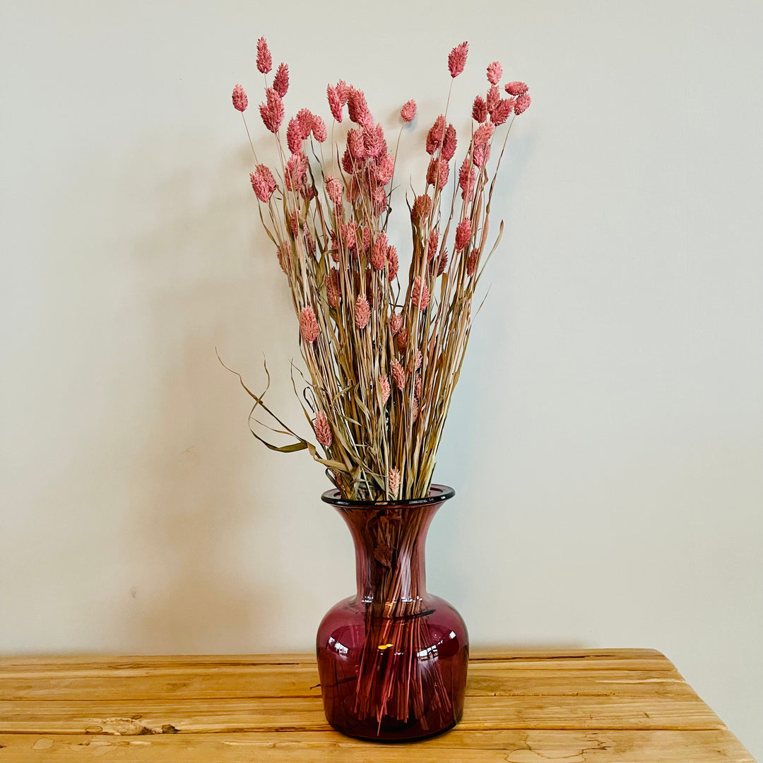 Dried flower bundle 'Phalaris' nature - ↑76 cm - pink