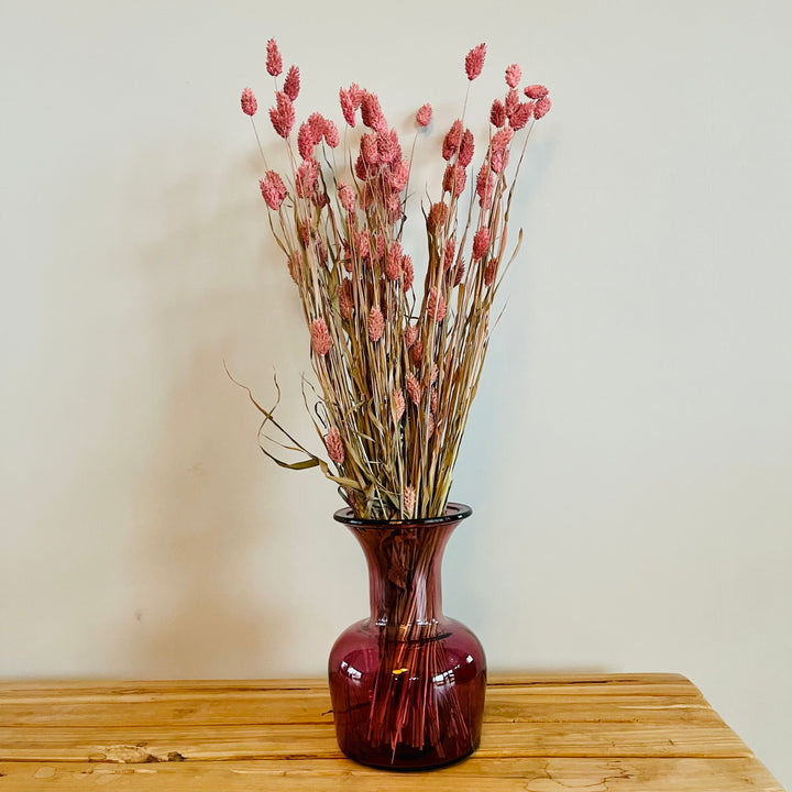 Dried flower bundle 'Phalaris' nature - ↑76 cm - pink
