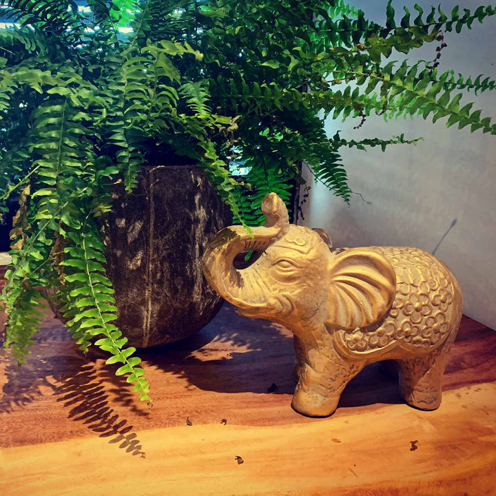 Olifant terra cotta goud sfeerfoto